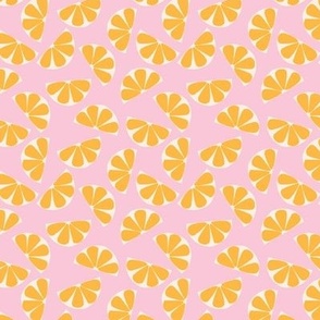 Citrus Slices in Pink and Yellow