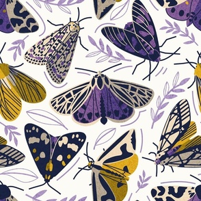 Normal scale // Quirky beautiful moths // natural white background oxford navy blue ivory yellow and orchid and grape purple tiger moth insects