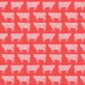 small candy apple + summer coral cows