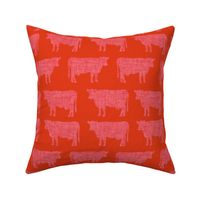 red orange + candy apple cows