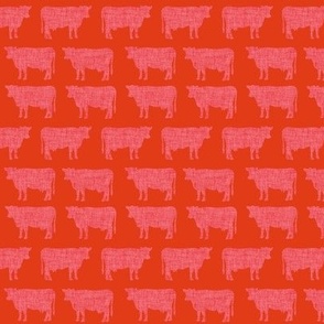 small red orange + candy apple cows