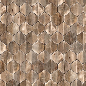 Driftwood Coastal Hexagons Modern Wood Geometric Small Scale - Laguna Collection