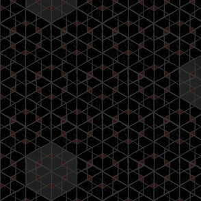 Isometric geometric geospace - black on black - half scale