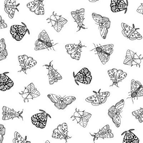 Line drawn moths - black and white