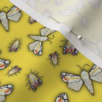 picasso moths  on yellow painterly