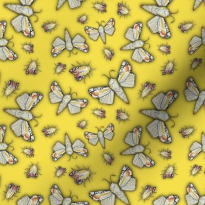 picasso moths  on yellow painterly