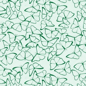 Morpho Butterfly Line Art - Green Sage - Medium Scale