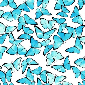 Amazon Morpho Butterflies - Aqua Dream  - Medium Scale