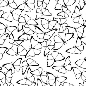 Morpho Butterfly Line Art - Black and White - Medium Scale