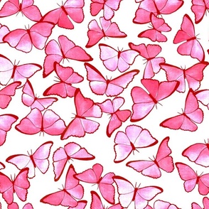 Amazon Morpho Butterflies - Hot Pink - Medium Scale