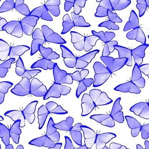 Amazon Morpho Butterflies - Lilac Violet  - Medium Scale