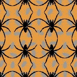 Spider_Dance Orange