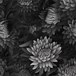 Monochrome Grey Chrysanthemum ATL_494