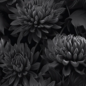 Monochrome Dark Grey Chrysanthemum ATL_495
