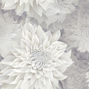 Dreamy White Chrysanthemum ATL_514