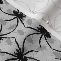 Spider_Dance_grey