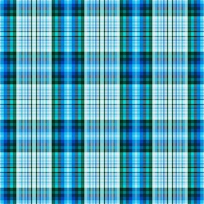 The Blues  Summer Plaid