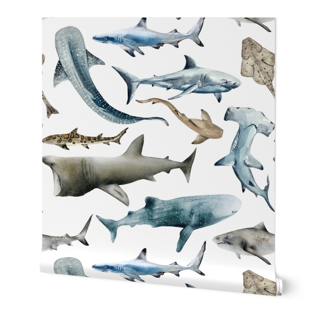 Watercolor Sharks