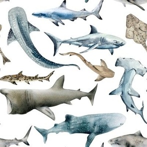 Watercolor Sharks