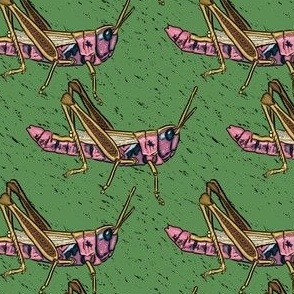 Magical Meadow - Grasshoper Symmetry