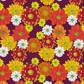 Cascading Chrysanthemums with a  Plum Background