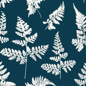 Forest Ferns on Prussian Blue - Magical Meadow