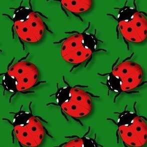 Busy black spotted Red LadyBird on Vibrant Red Black Green
