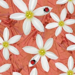 Whimsical Ladybird  Daisy Flower | Cute Ladybug Insect | White Yellow Peach Blush