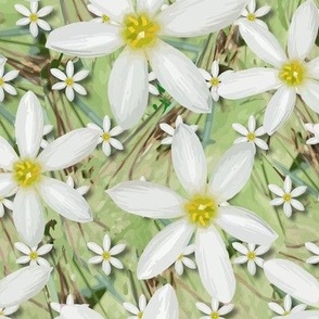 Scattered Daisy Flower| Sunny Farmhouse Meadow | Grass Green Yellow