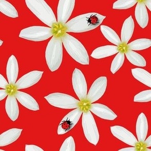 White Daisy Flower, Cute Red Black Ladybug Insect, Whimsical Botanic Print, Fashionable Summer Dress