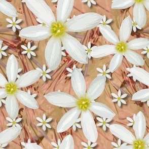White Traditional Floral | Dancing daisy Flower |Farmhouse Botanic | Peach Yellow