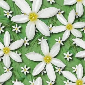 Modern White Daisies | Scattered Daisy Flowers | White Yellow Green