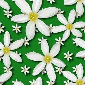 Modern Floral Spring Flowers | Botanic White Daisy | White Green Yellow