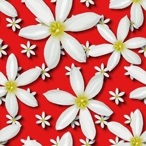 Scattered Modern Floral Daisies | Daisy Flowers | White Red Yellow