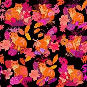 Ginger cats in the jungle