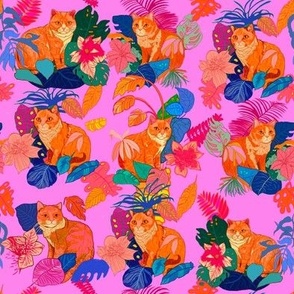 Ginger cats in a rainbow jungle