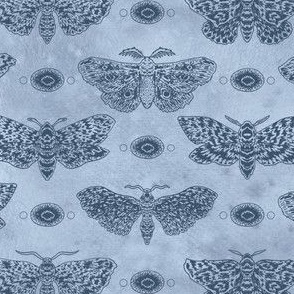 (medium) Ink moths on a watercolour background - sky blue