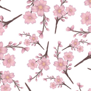 Sakura Branch