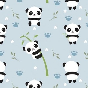 cutie panda