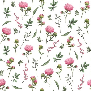 Pink Peony Flowers and Buds Floral For Fabric and Wallpaper