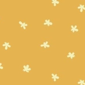 Polka Dot Plants in Sunray Yellow - Magical Meadow