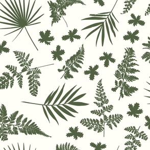 Ferns and Palm Leaves on Off White - Magical Meadow