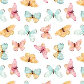 Colorful Butterflies and Moths on White 12 inch