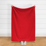 Bright Red OSHA Safety Colors Red Rouge Rojo Vermelho  Rot Rosso أحمر लाल 赤 红色的 สีแดง - Coordinating Solids 