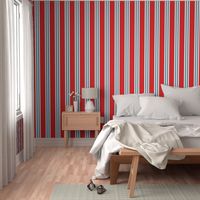 beach stripes - red and blueberry