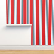 beach stripes - red and blueberry