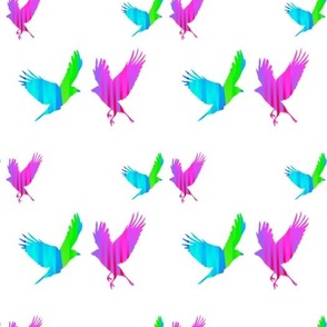 Pair of colorful birds.Abstraction