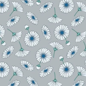 Med Almost White Osteospermum Daisies Blue Centers on Light Gray