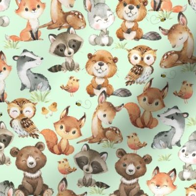 Woodland Animals on Green Baby Nursery 10 inches/Bear Fox Deer Raccoon Owl Rabbit Beaver