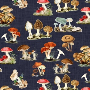 399. various types of  mushrooms, realistic drawings on navy blue background 
